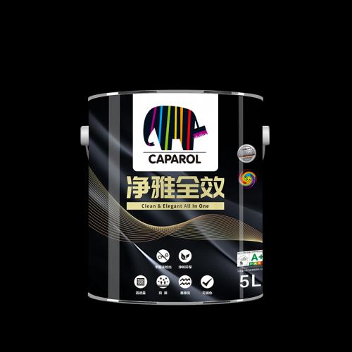 净雅全效墙面漆