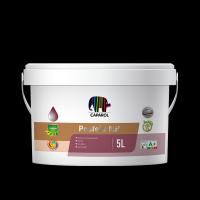 铂斯菲尔墙面漆D650